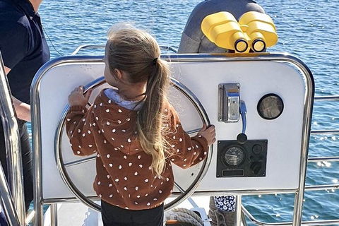 Mandurah Dolphin And Scenic Marine Cruise - Accommodation Australia 10