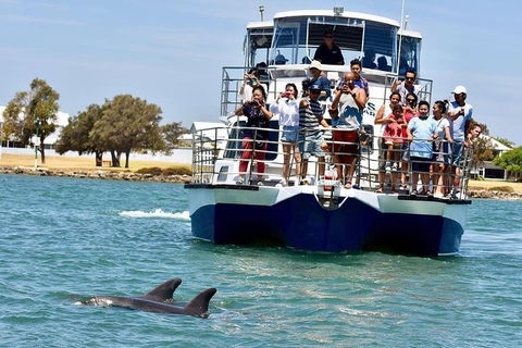 Mandurah Dolphin And Scenic Marine Cruise - Accommodation Australia 2