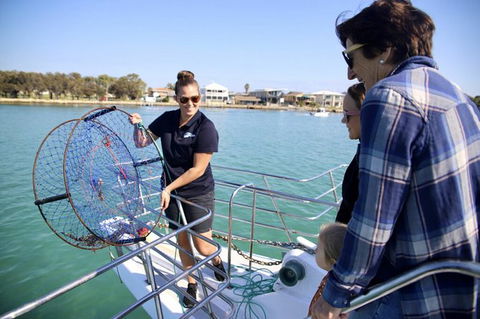 Mandurah Dolphin And Scenic Marine Cruise - Accommodation Australia 16