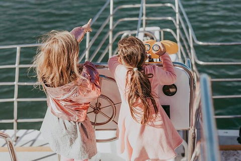 Mandurah Dolphin And Scenic Marine Cruise - Accommodation Australia 13