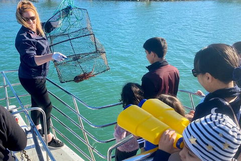 Mandurah Dolphin And Scenic Marine Cruise - Accommodation Australia 18