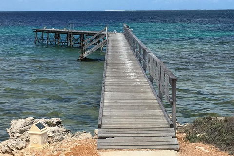 Abrolhos Flyover With Morning Tea On East Wallaby Island - Local Tourism 1