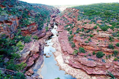Kalbarri Gorges & West Coast - Ground & Air Tour - Accommodation Australia 5