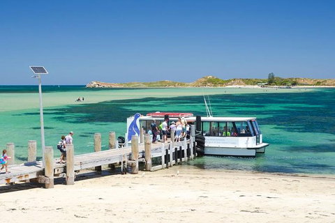Penguin Island And Caversham Wildlife Park Day Trip From Perth - Australia Shopping 0