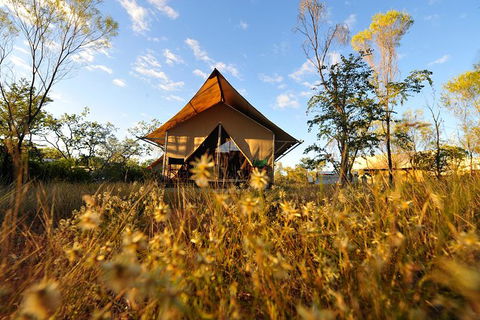 APT Kimberley Wilderness Adventures Purnululu (Bungle Bungle) 4WD Experience - Local Tourism 10