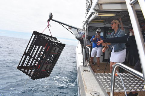 Rottnest Island Wild Seafood Package From Perth With Transfer - Accommodation Australia 0