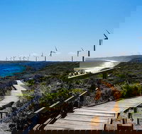 Torndirrup National Park and Bay Highlights - Local Tourism