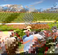 Yarra Valley Wine and Winery Tour from Melbourne - Accommodation Australia