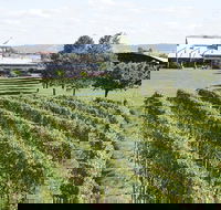 Puffing Billy Train and Yarra Valley Food and Wine Day Trip from Melbourne - Accommodation Australia