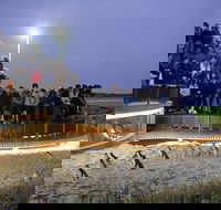 Small-Group Phillip Island Day Trip from Melbourne with Penguin Plus Viewing - Accommodation Australia