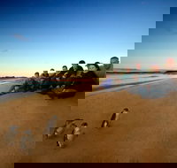 Phillip Island Ultimate Penguin Eco Tour or Skybox Experience - Local Tourism