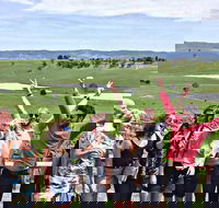 Alternative Yarra Valley Wine Tasting Tour Departing from Melbourne - Accommodation Australia