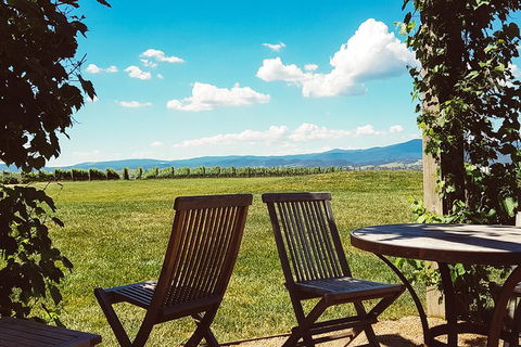 Alternative Yarra Valley Wine Tasting Tour Departing From Melbourne - Accommodation Australia 11