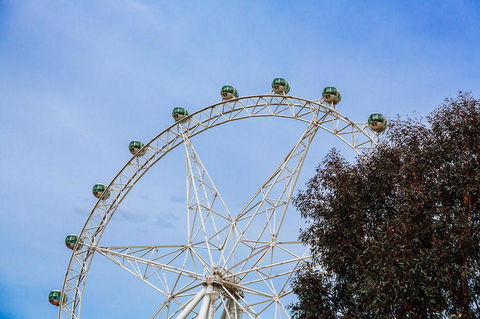 City Sightseeing Melbourne Hop-On Hop-Off Bus Tour - Accommodation Australia 8