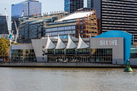 City Sightseeing Melbourne Hop-On Hop-Off Bus Tour - Accommodation Australia 7