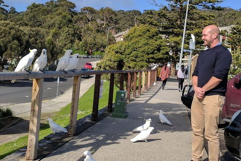 Private Full-Day Great Ocean Road Tour With Helicopter Ride - Australia Shopping 1