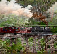 Melbourne Combo Great Ocean Road Puffing Billy Moonlit Sanctuary  Penguins - Accommodation Australia