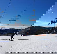 Mt. Buller Ski Tour from Melbourne - Accommodation Australia