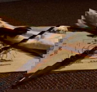 TRAPT Melbourne Alchemy II - The Final Run - Accommodation Australia