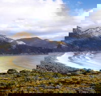 Wilsons Promontory Day Trip from Phillip Island - Local Tourism