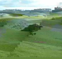 Day Tour of Phillip Island  Surrounding Region - Local Tourism