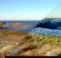 Phillip Island Walking  Bird Watching Tour - Local Tourism