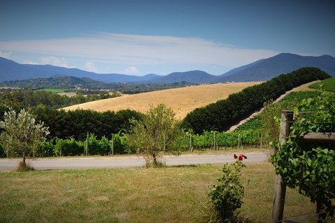 Romantic Private Yarra Valley Day Trip For Two From Melbourne - Local Tourism 0