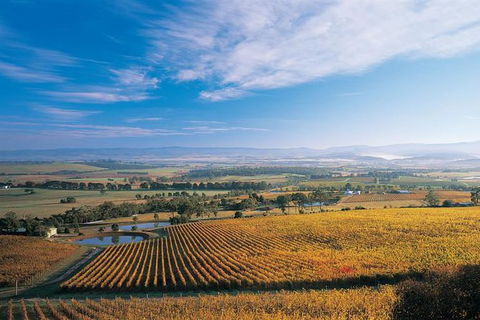 Half Day Yarra Valley Winery Day Trip From Melbourne - Accommodation Australia 0