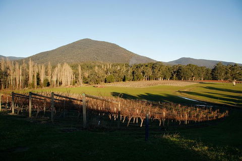 Half Day Yarra Valley Winery Day Trip From Melbourne - Accommodation Australia 6