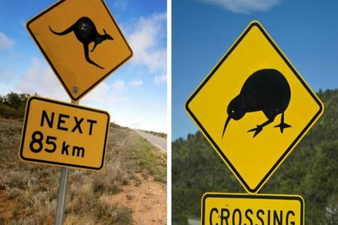 Aroha Tangata Australia And New Zealand 20 Day - Accommodation Australia 0