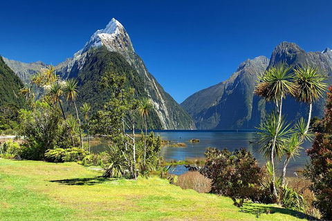 Aroha Tangata Australia And New Zealand 20 Day - Accommodation Australia 1