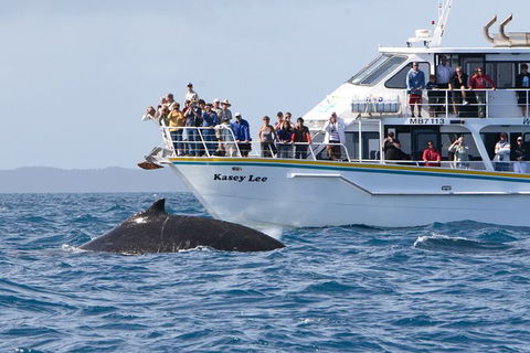 Phillip Island Whale Watching Tour - Local Tourism 2