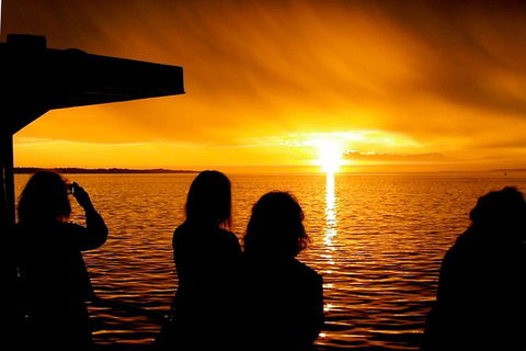 Phillip Island Twilight Cruise - Local Tourism 1