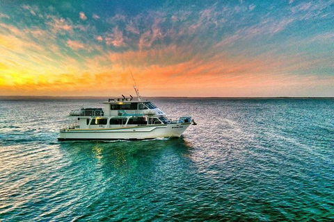 Phillip Island Twilight Cruise - Local Tourism 3