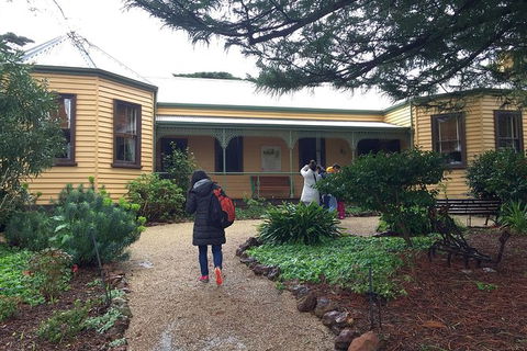 Day Tour Of Phillip Island Nature Parks & Penguins - Local Tourism 7