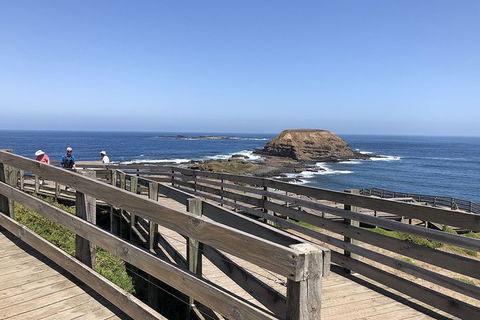 Day Tour Of Phillip Island Nature Parks & Penguins - Local Tourism 9