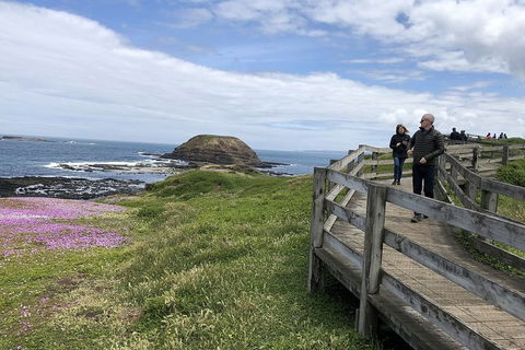 Day Tour Of Phillip Island Nature Parks & Penguins - Local Tourism 10