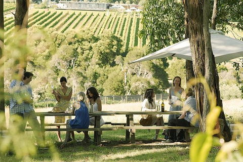1 Day Mornington Peninsula Wine And Food Tour - Local Tourism 1