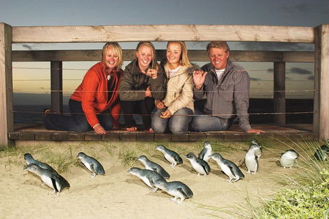 Phillip Island Nature Park Full-Day Tour From Melbourne - Australia Shopping 0