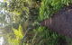 Yarra Valley Wineries And Puffing Billy Steam Train Tour From Melbourne - thumb 8