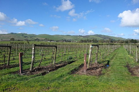 Phillip Island Wine Experience Tour - Local Tourism 4
