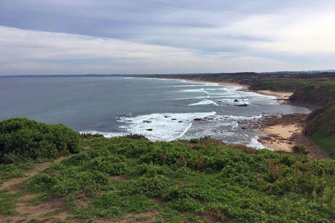 Half Day Phillip Island Woolamai Walking Tour - Local Tourism 0
