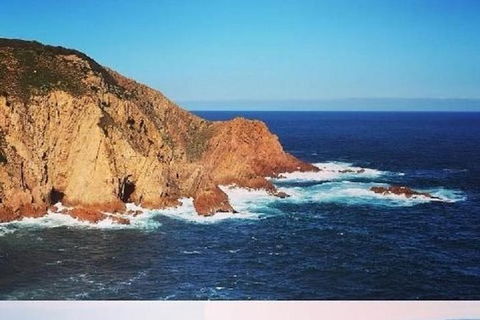 Half Day Phillip Island Woolamai Walking Tour - Local Tourism 1
