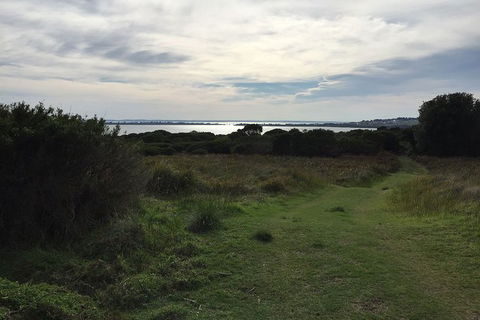 Half Day Phillip Island Woolamai Walking Tour - Local Tourism 4