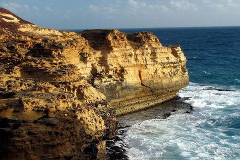 Half Day Phillip Island Woolamai Walking Tour - Local Tourism 12