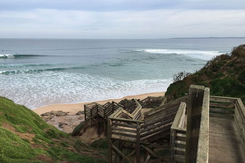 Half Day Phillip Island Woolamai Walking Tour - Local Tourism 5