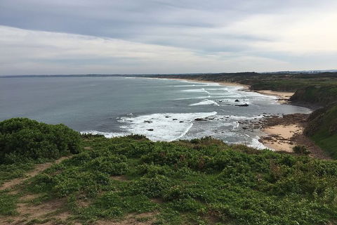 Half Day Phillip Island Woolamai Walking Tour - Local Tourism 10
