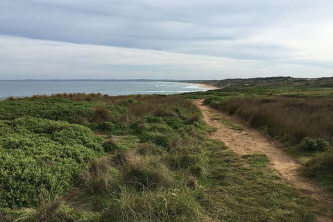 Half Day Phillip Island Woolamai Walking Tour - Local Tourism 3