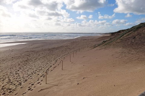 Half Day Phillip Island Woolamai Walking Tour - Local Tourism 7