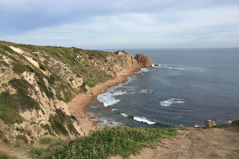Half Day Phillip Island Woolamai Walking Tour - Local Tourism 2